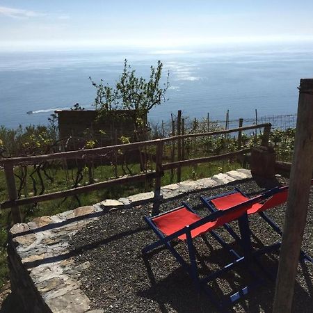 Il Nettare Agriturismo Villa Riomaggiore Bagian luar foto