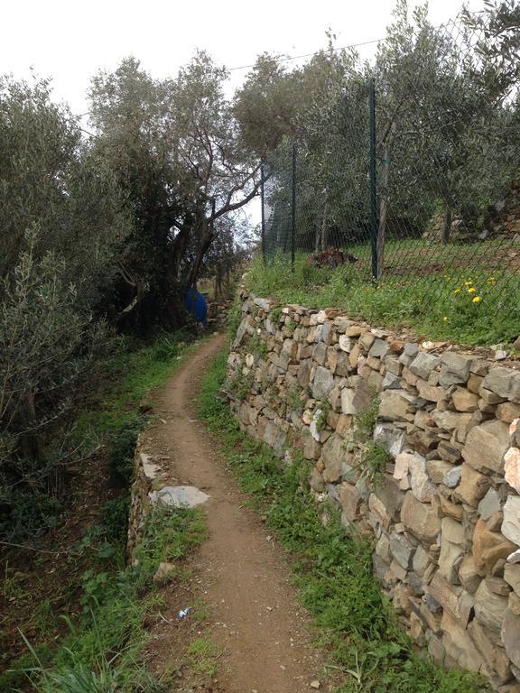 Il Nettare Agriturismo Villa Riomaggiore Bagian luar foto