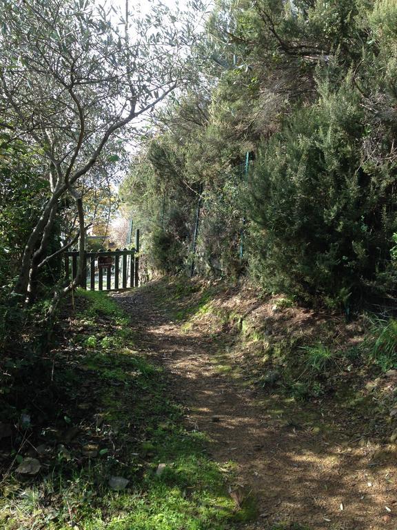 Il Nettare Agriturismo Villa Riomaggiore Bagian luar foto