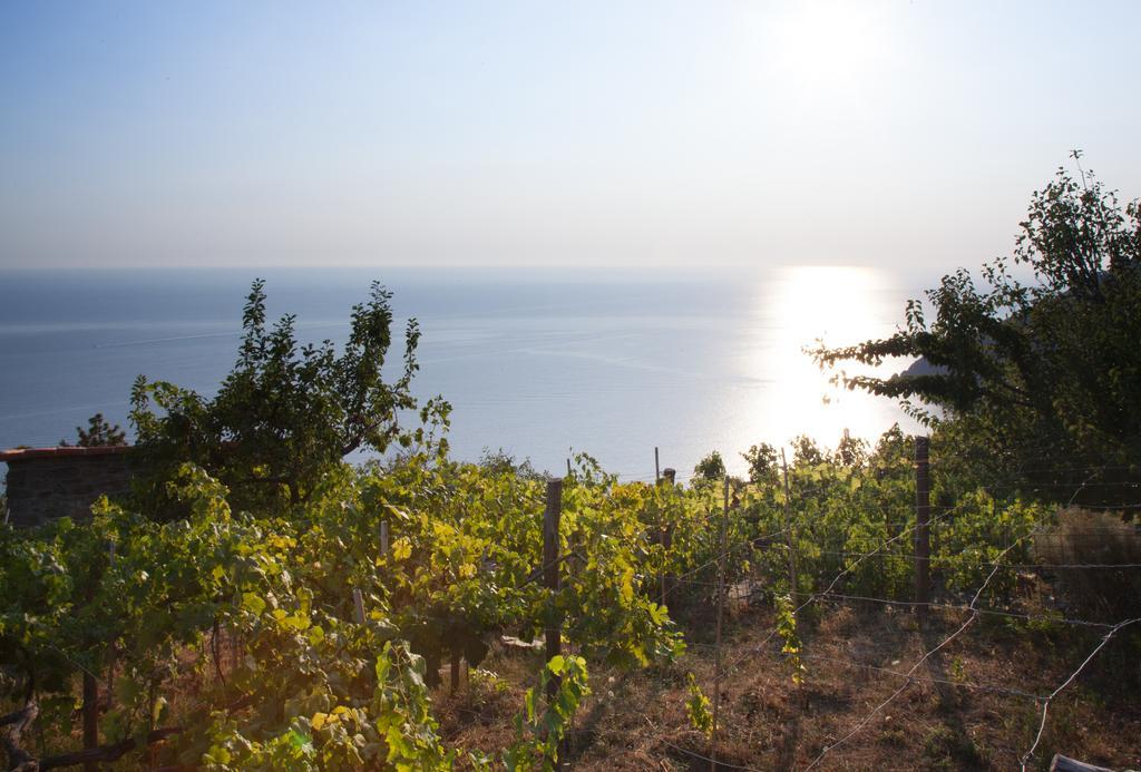 Il Nettare Agriturismo Villa Riomaggiore Bagian luar foto